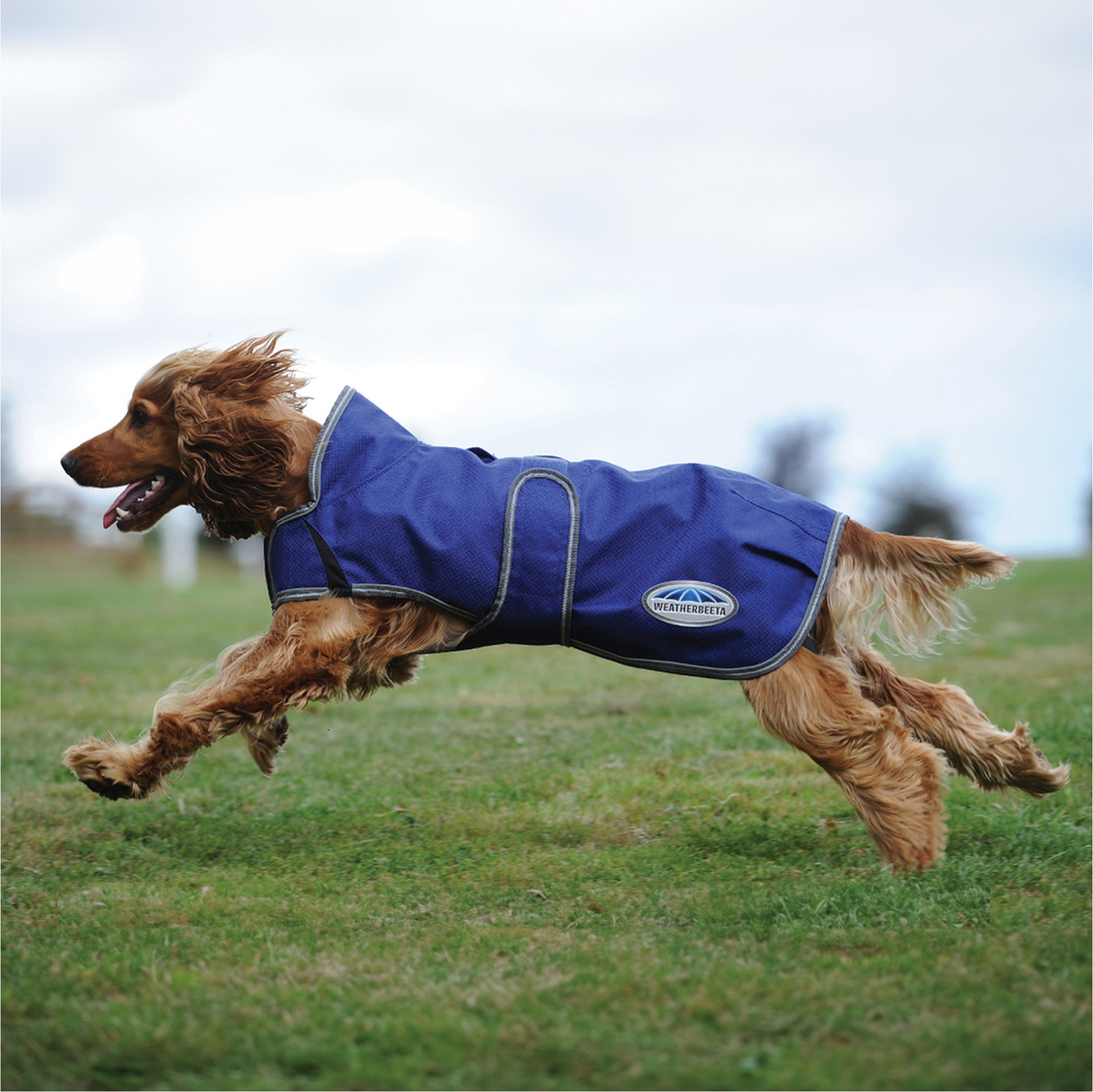 Weatherbeeta Comfitec Premier Free Duo Delux Dog Coat Parka - Dark Blue